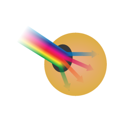 diagram of the human eye pupil