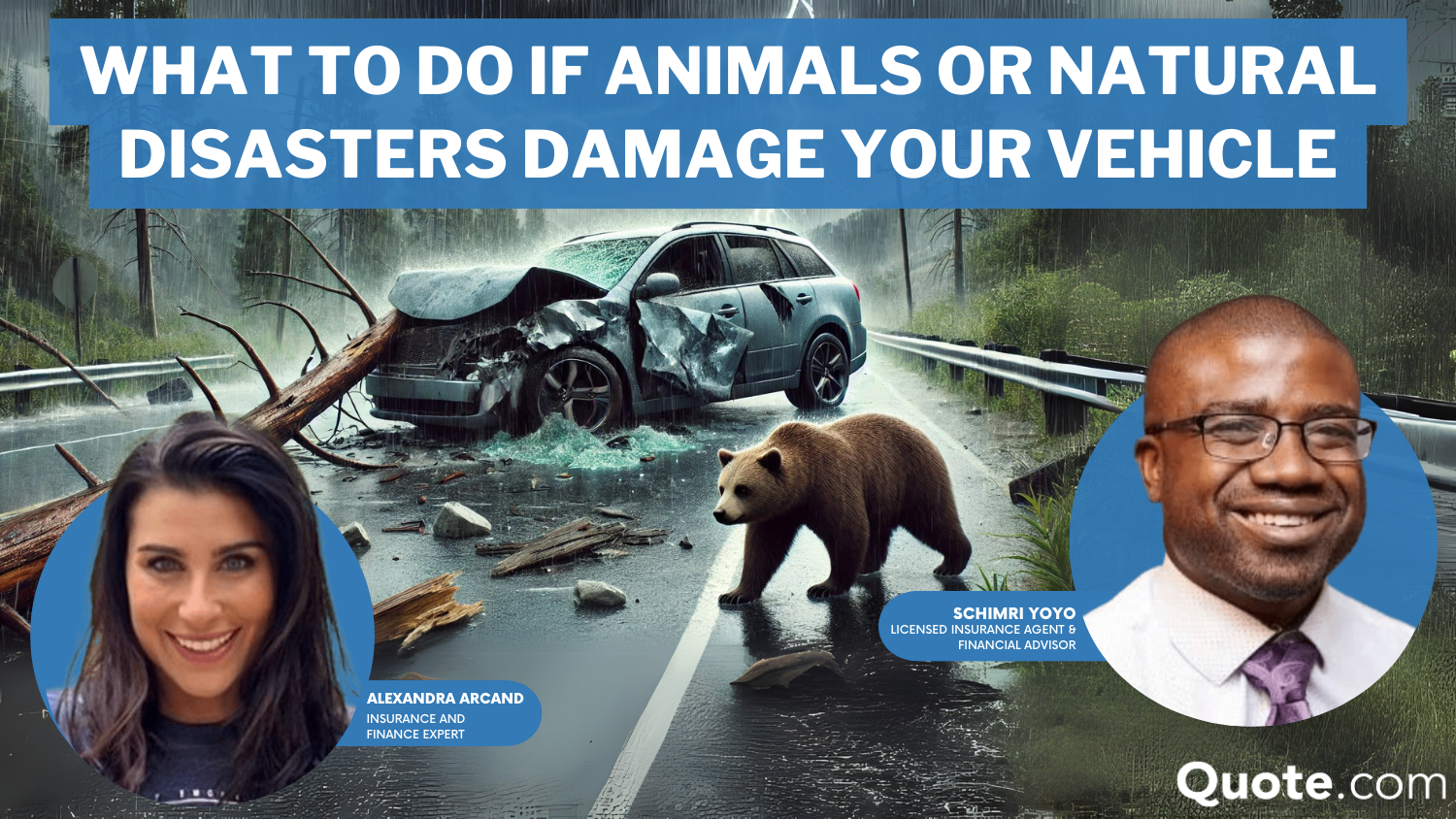 What to Do If Animals or Natural Disasters Damage Your Vehicle