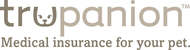 Best Pet Insurance for Dogs